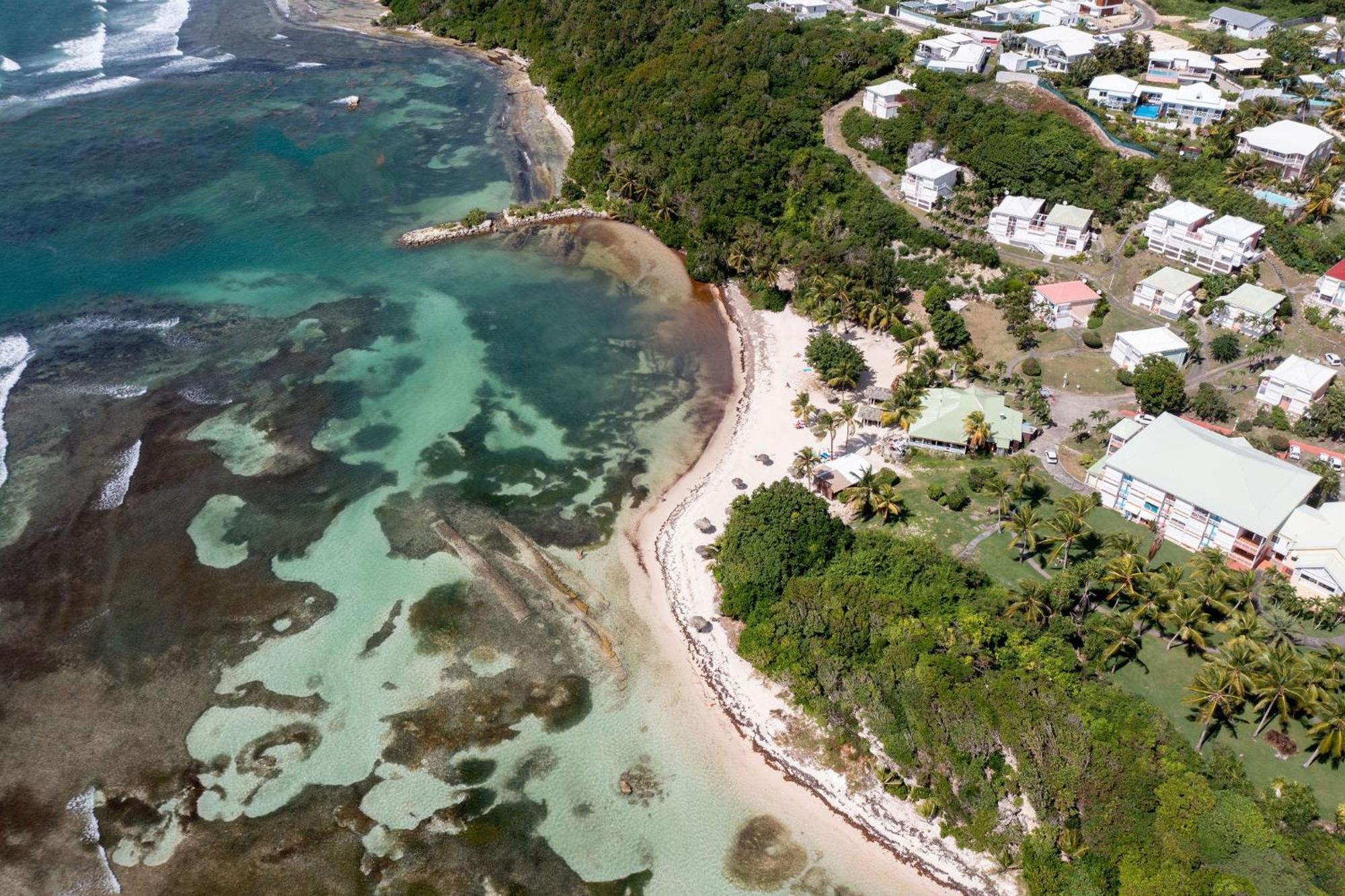 Le Ti' Chajo Anse Des Rochers Vue Mer Saint-Francois  Esterno foto